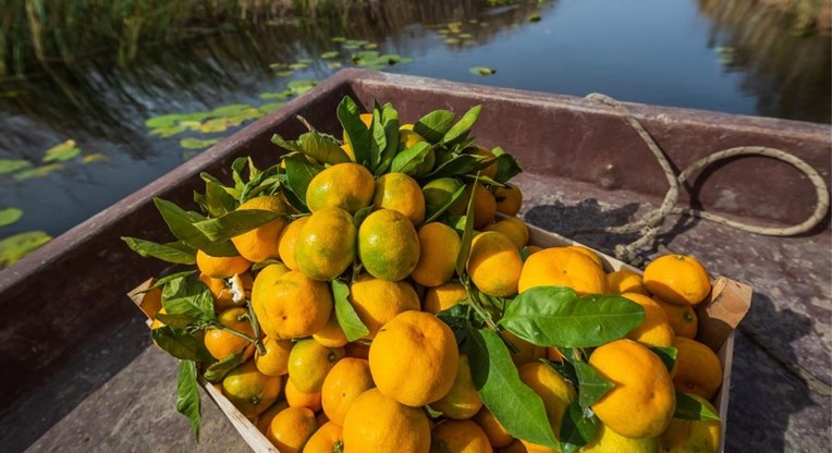 Opasni pesticid pronađen u neretvanskim mandarinama koje su na bh. tržištu