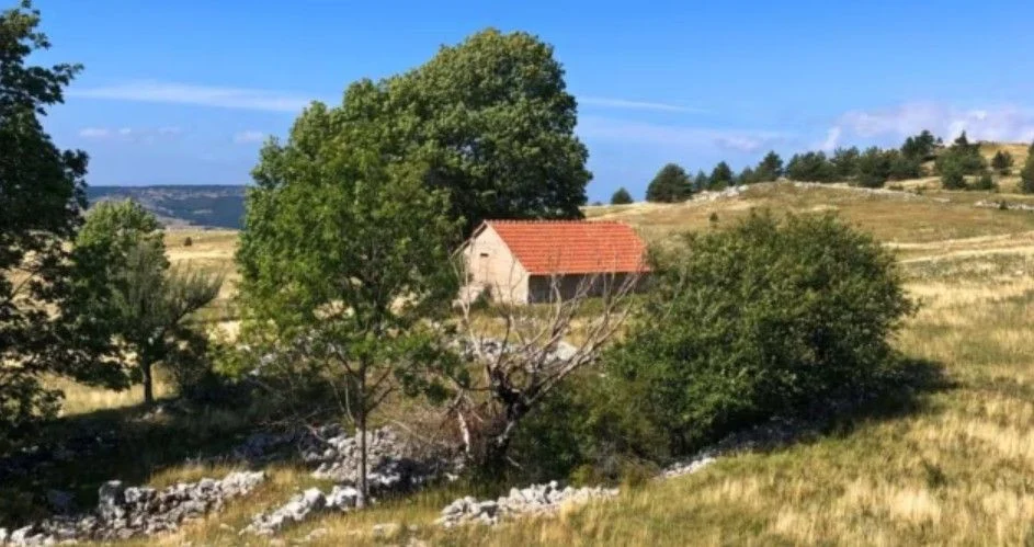 EU istražuje izgradnju vjetroparka kod Blidinja